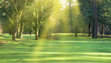 Eastgate Funeral Service